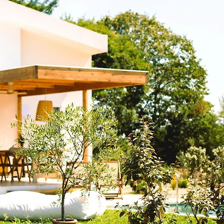 Aristotelia Gi Domes - Luxury Private Pool Retreats Villa *